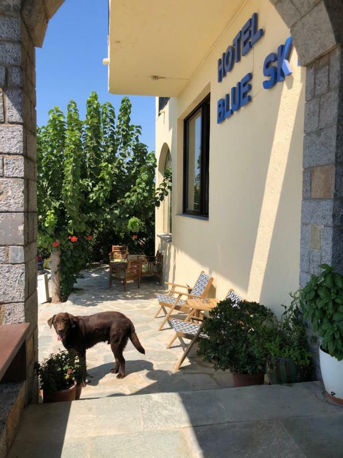 Blue Sky Hotel 考特索纳里 外观 照片